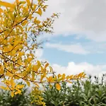 빌라 Le Tuie 카스텔라마레델골포