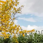 Le Tuie * 卡斯泰拉马莱